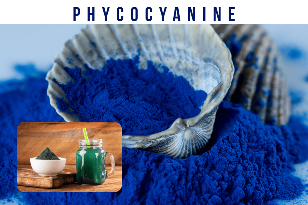 Spiruline-phycocyanine-02
